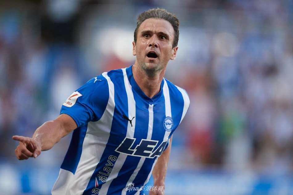 这一消息不 这一消息不